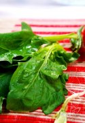 8种预防癌症的蔬菜 你不可不知